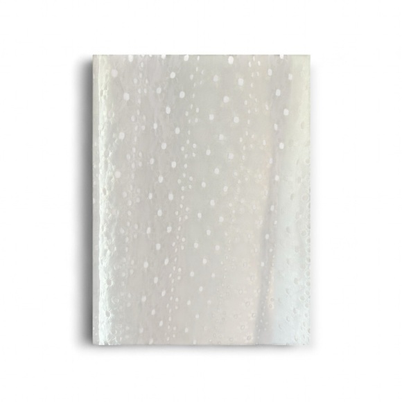 Ann Taylor White Eyelet Tank with Bow - Picture 5 of 6